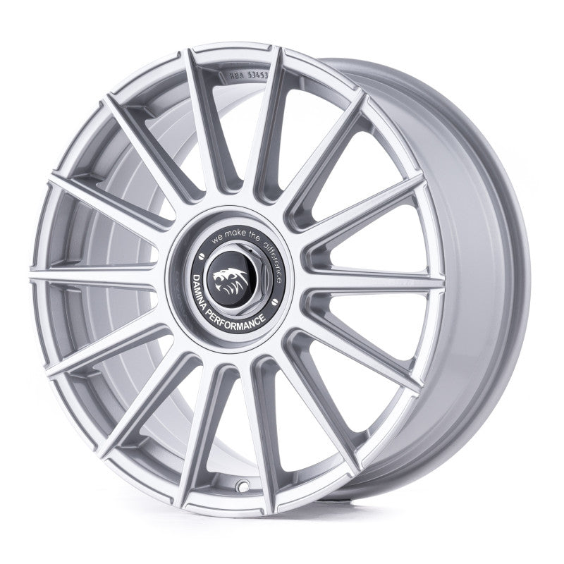 Damina Performance | DM09 | Silver Painted