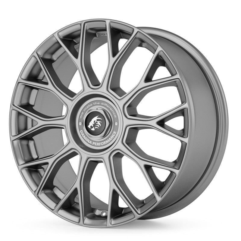 Damina Performance | DM10 | Grey Matt