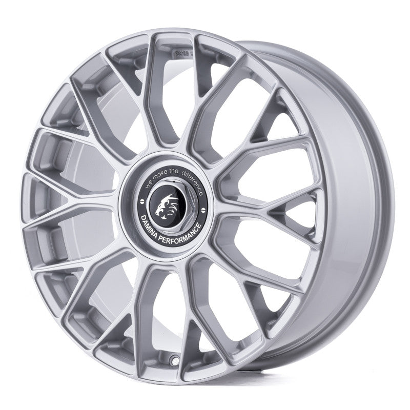 Damina Performance | DM10 | Silver