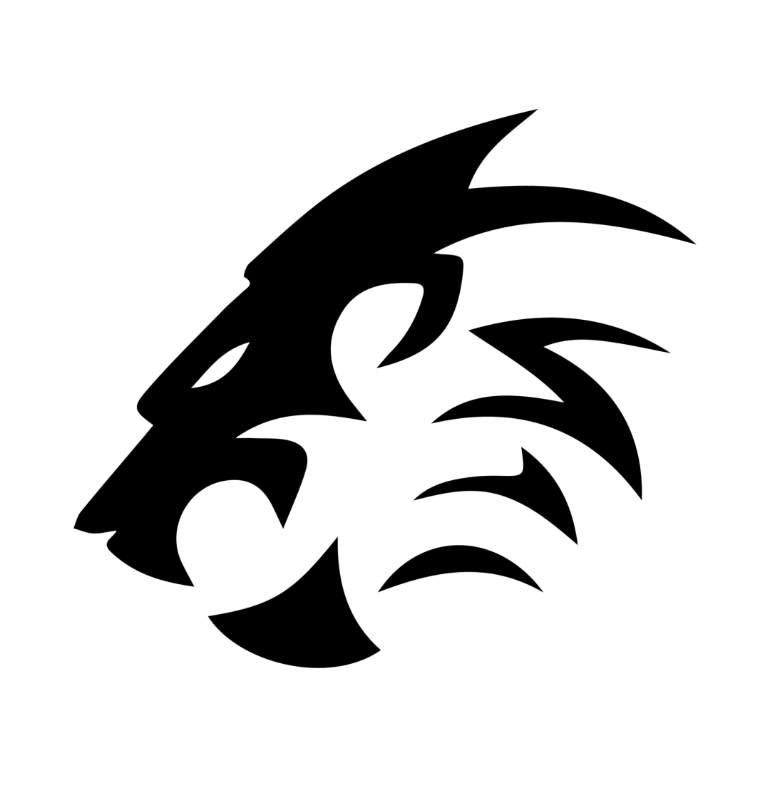 DM09